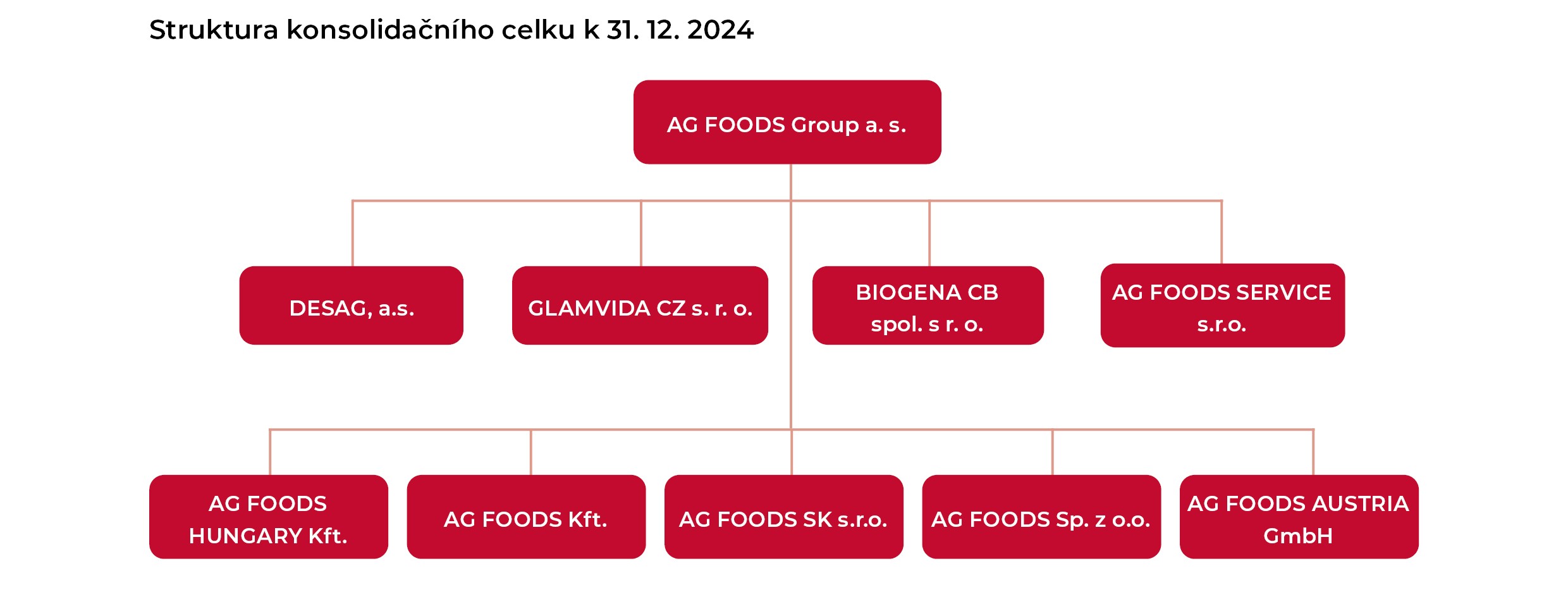 Organisationsstruktur
